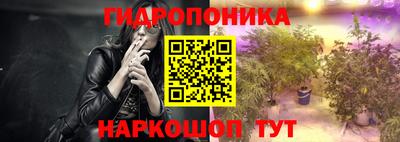 гидропоника Гусь-Хрустальный