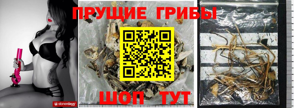 Галлюциногенные грибы мицелий  Вход с VPN  Назарово 