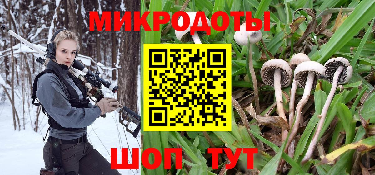 Псилоцибиновые грибы мицелий Назарово